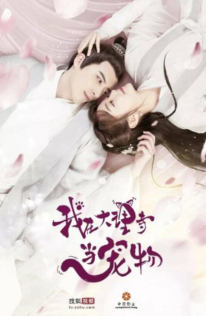 Дорама Кошка из палаты по уголовным делам онлайн