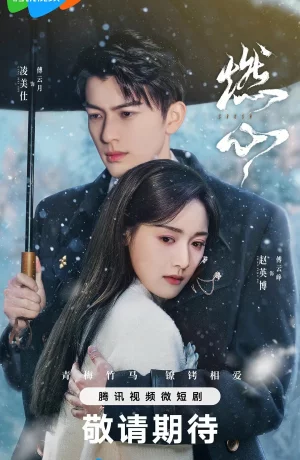 Дорама Обжигающее сердце онлайн