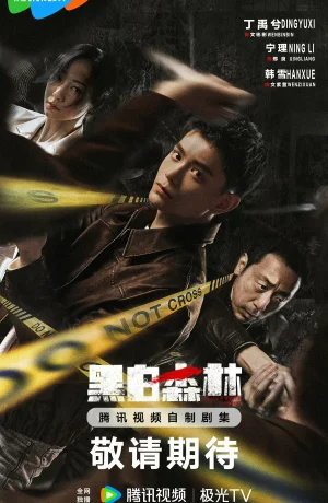 Дорама Чёрно-белый лес онлайн